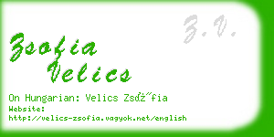 zsofia velics business card